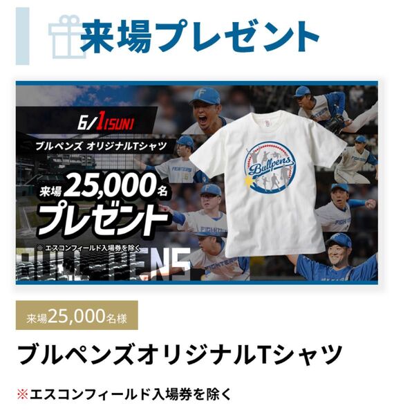 北海道日本ハムファイターズ ブルペンズTシャツ 未開封未使用
