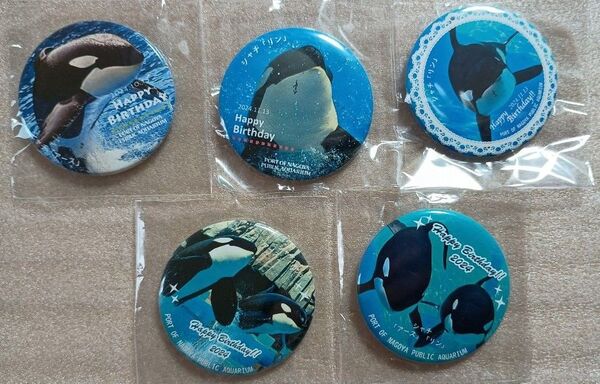 名古屋港水族館 ハッピーバースデー2024 シャチ 缶バッチ