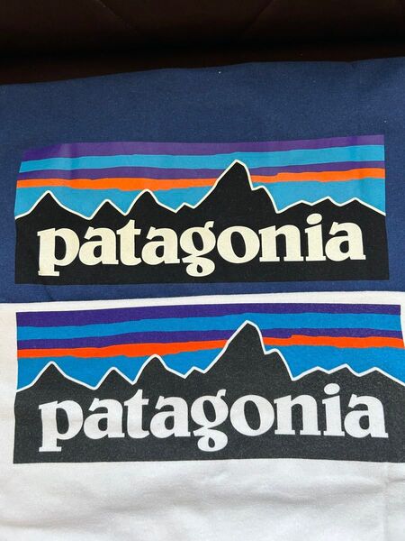 patagonia パタゴニア 半袖ロゴTシャツ ポケT P-6 ロゴ レスポンシビリティー sizeXS 白青2点セット
