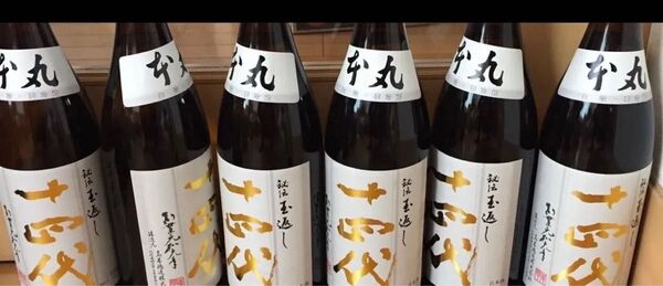 十四代 本丸 6本 最新!