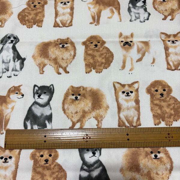 犬柄 生地 コットン100% オックス 約50cm×115cm