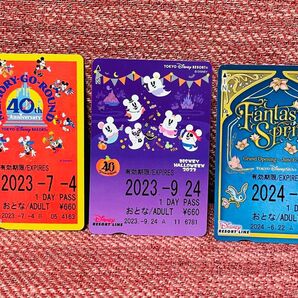 使用済「東京ディズニーリゾートライン フリーきっぷ」