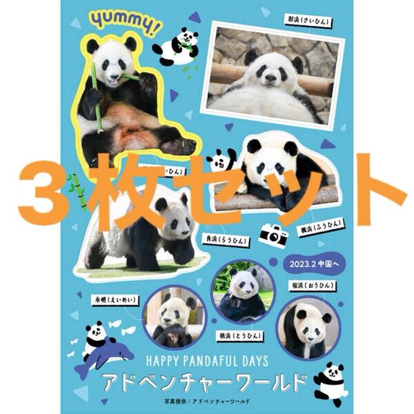 アドベンチャーワールド ステッカー 永明 良浜 桜浜 桃浜 松坂屋 非売品 3枚セット
