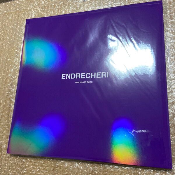 堂本剛 ENDRECHERI エンドリケリー ライブフォトブック