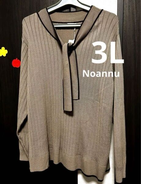 ニット調カットソー 3L noannu 大きいサイズ