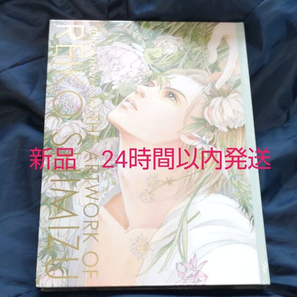 図録 REIKOSHIMIZU 40th Anniversary THE ARTWORK OF 清水玲子 新品未開封 シュリンク付