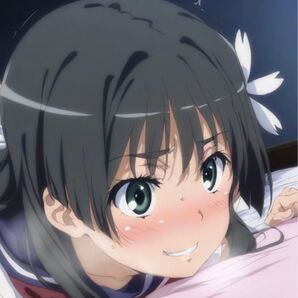 とある科学の超電磁砲 佐天涙子 ③ ブロマイド 写真 L判 同人