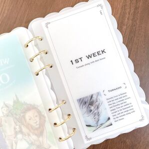 貯金リフィル オズの魔法使い カラー weekly A6 saving challenge