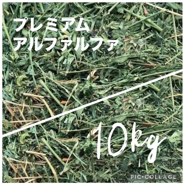 牧草アルファルファ10kg