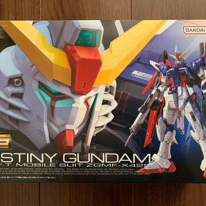 【新品未開封】RG 1/144 デスティニーガンダム 機動戦士ガンダムSEED DESTINY