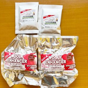 ウーリー wooly サンプル うさぎ