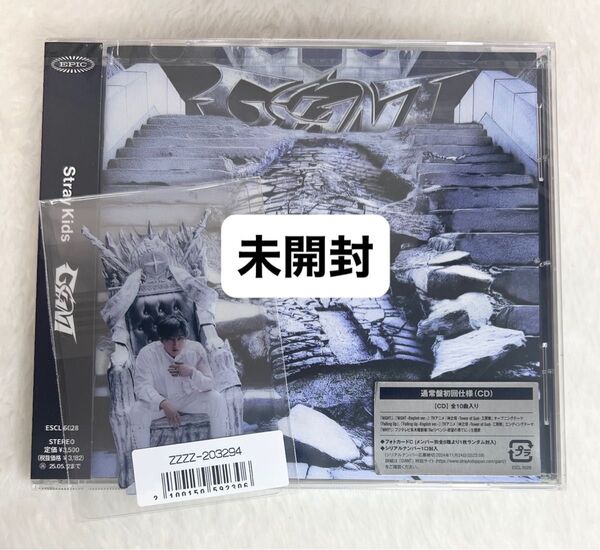 StrayKids スキズ GIANT CD アルバム 日本 JAPAN チャンビン ソニミュ 特典 トレカ