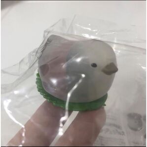 未開封もっちりアニマルズ水鳥まんじゅう ガチャガチャ マスコット