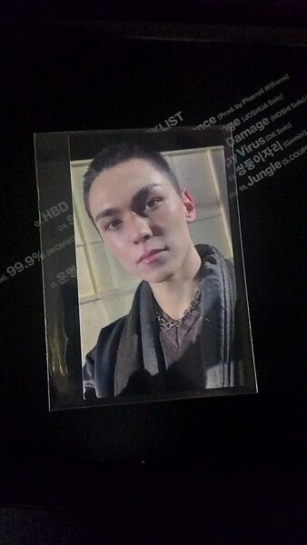 SEVENTEEN セブチ 来場者限定トレカ 大阪 ユニバ バーノン
