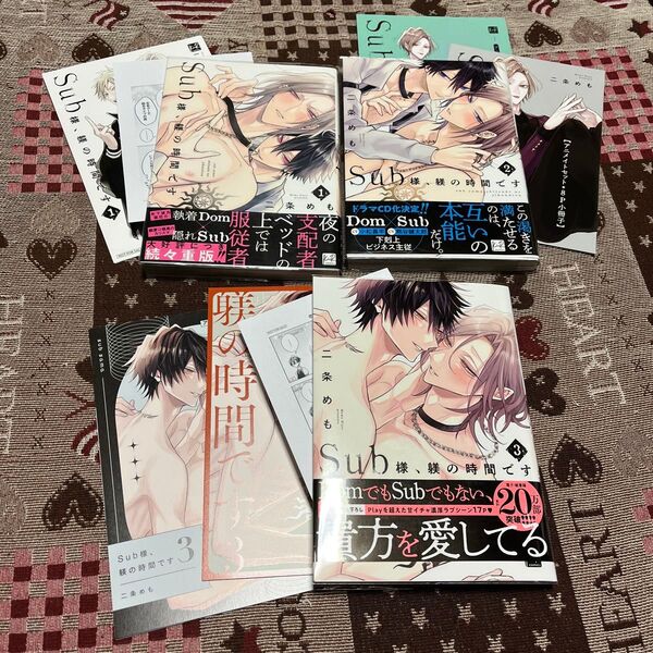 Sub様、躾の時間です 全3巻/二条めも