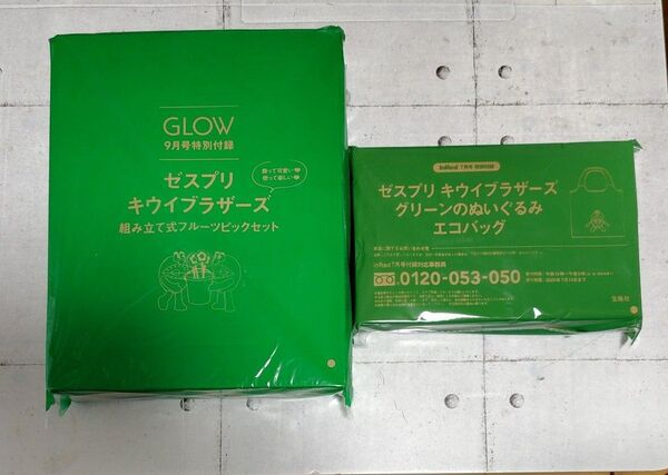 GLOW☆ InRed☆付録☆ゼスプリキウイブラザーズ☆組み立て式フルーツピックセット☆グリーンのぬいぐるみ絵バッグ☆2点セット
