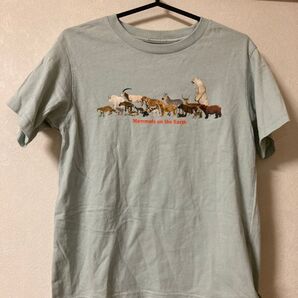 UNIQLO KIDS アニマル柄Tシャツ 国立科学博物館コラボ Tシャツ