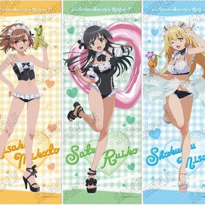 とある科学の超電磁砲T 描き下ろし等身大タペストリー 水着メイドver. 御坂美琴&佐天涙子&食蜂操祈 全3種セット(新品)