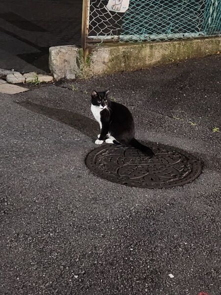 レクサスの画像 テスト