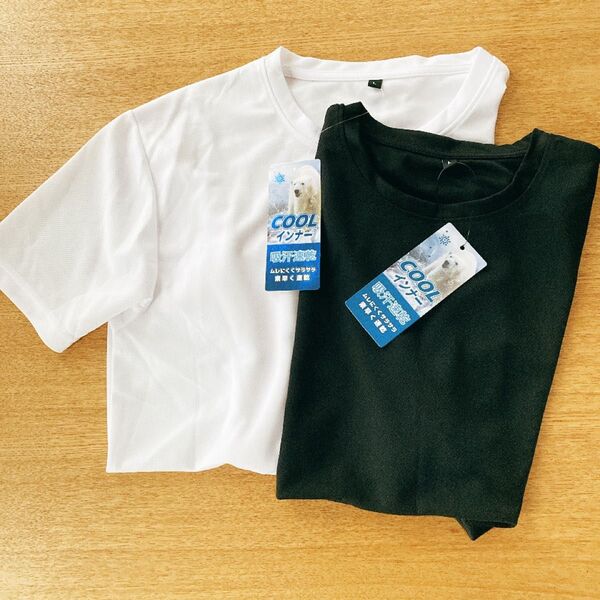 吸汗速乾クールメッシュインナー 半袖丸首Tシャツ メンズLサイズ2枚セット ※値下げバラ売り不可