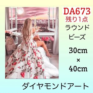 DA673ダイヤモンドアートキットトワイライト