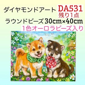 DA531☆ダイヤモンドアートキット☆仲良し柴ちゃん