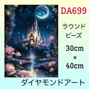 DA699ダイヤモンドアートキット月夜の薔薇城