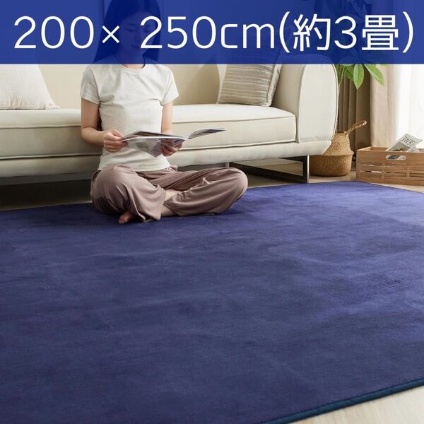 カーペット ラグ ラグマット 絨毯 200×250cm 約3畳 リビングマット 抗菌 防ダニ オールシーズン 防臭 滑り止め 耐熱