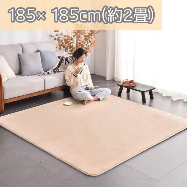 カーペット ラグ ラグマット 厚手 180×180cm 洗える 滑り止め付き オールシーズン 絨毯 床暖房ホットカーペット対応
