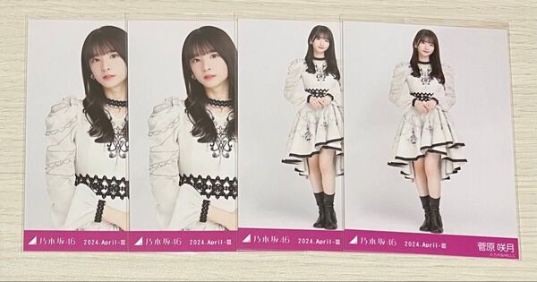 乃木坂46生写真 菅原咲月