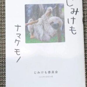 ★ナマケモノ/じみけも写真集/ハードカバー/動物写真集