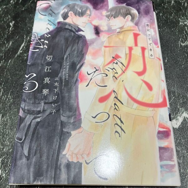 恋だってできる (新書館ディアプラス文庫 622) 切江真琴/著