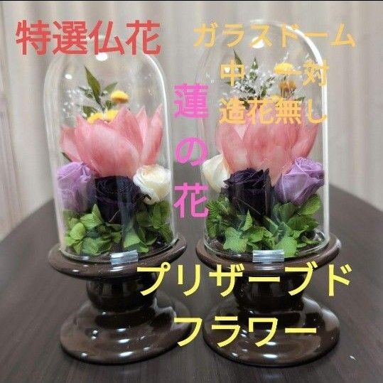 特選仏花 蓮の花 ガラスドーム 中サイズ 一対 造花無し プリザーブドフラワー