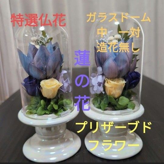 特選仏花 蓮の花 ガラスドーム 中サイズ 一対 造花無し プリザーブドフラワー
