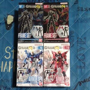 GフレームFA ライジング イモータル フレームセット