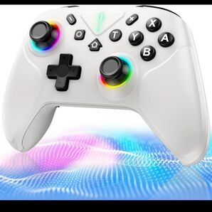 【新品】Switch 2 コントローラー ダブルホール機能 Switch1/2対応