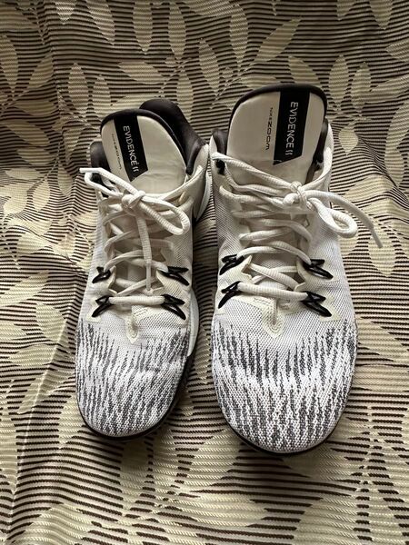 NIKE zoom EVIDENCEⅡ