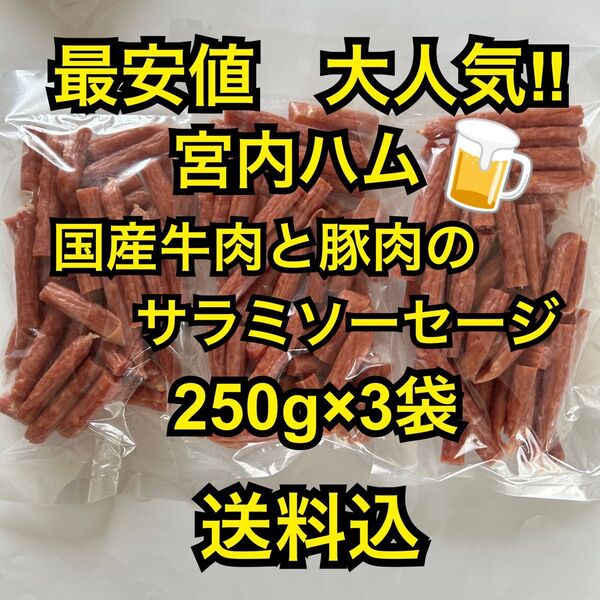 最安値 大人気!宮内ハム 国産牛肉と豚肉のサラミソーセージ250g×3袋