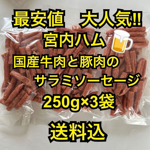 最安値 大人気!宮内ハム 国産牛肉と豚肉のサラミソーセージ250g×3袋