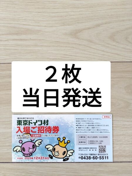 2枚【24時間以内発送】東京ドイツ村 ドイツ村 2025/12/31まで