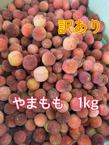 訳あり・規格外★ やまもも 1キロ