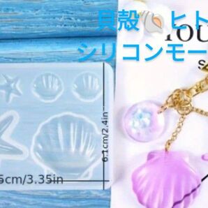 シリコンモールド☆シェル☆貝殻☆ヒトデ型