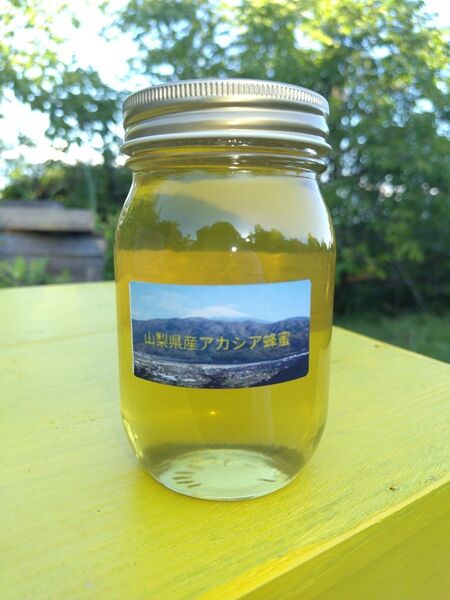 山梨県産 アカシア蜂蜜 600g(ビン) 1本入り 2024年5月採り