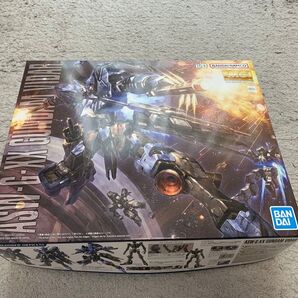MG ヴィダール マスターグレード 1/100