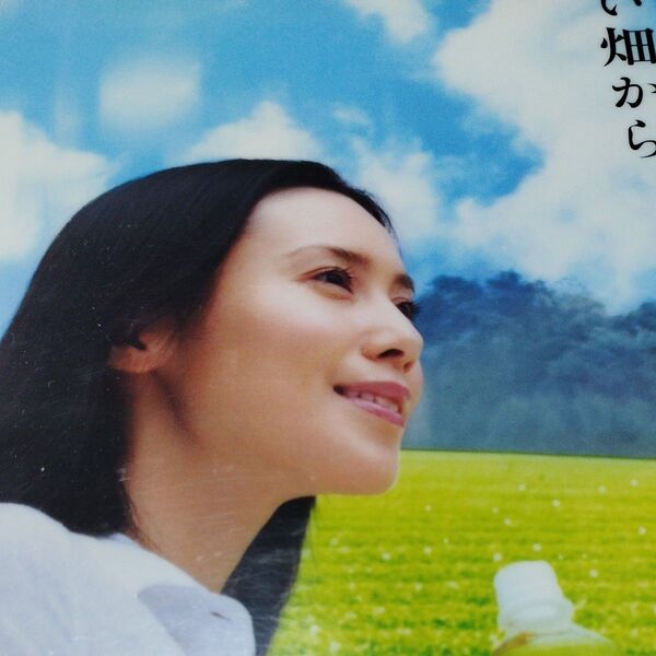非売品 伊藤園 「お~いお茶」 中谷美紀 クリアファイル