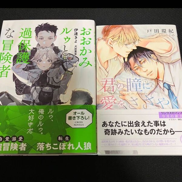 おおかみルゥと過保護な冒険者/伊達きよ・君の瞳に愛をささやく/戸田環紀