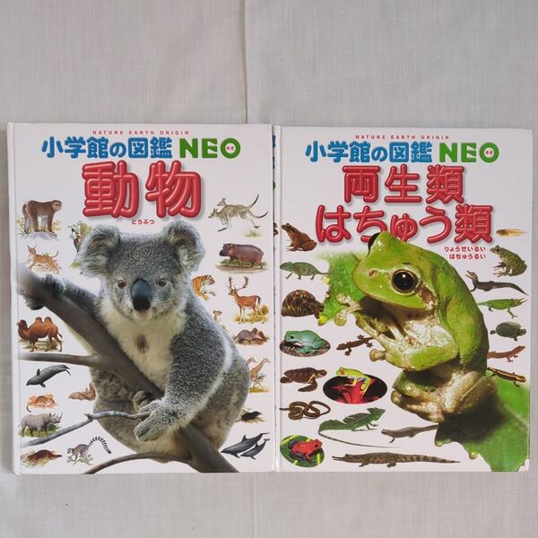 小学館の図鑑NEO 2冊セット 動物、両生類・爬虫類
