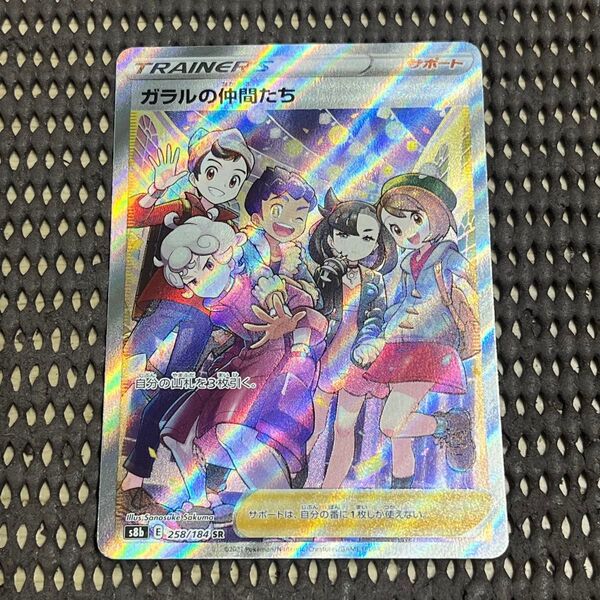 ガラルの仲間たち sr ①