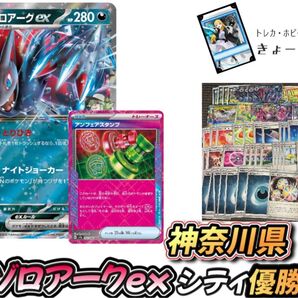 Nのゾロアークex 神奈川県シティリーグ優勝構築 ロケット団の栄光最新弾環境