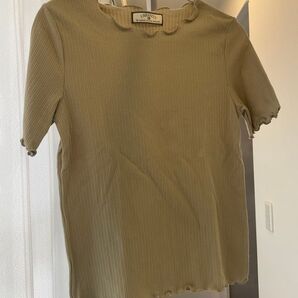Tシャツ 半そで グリーン